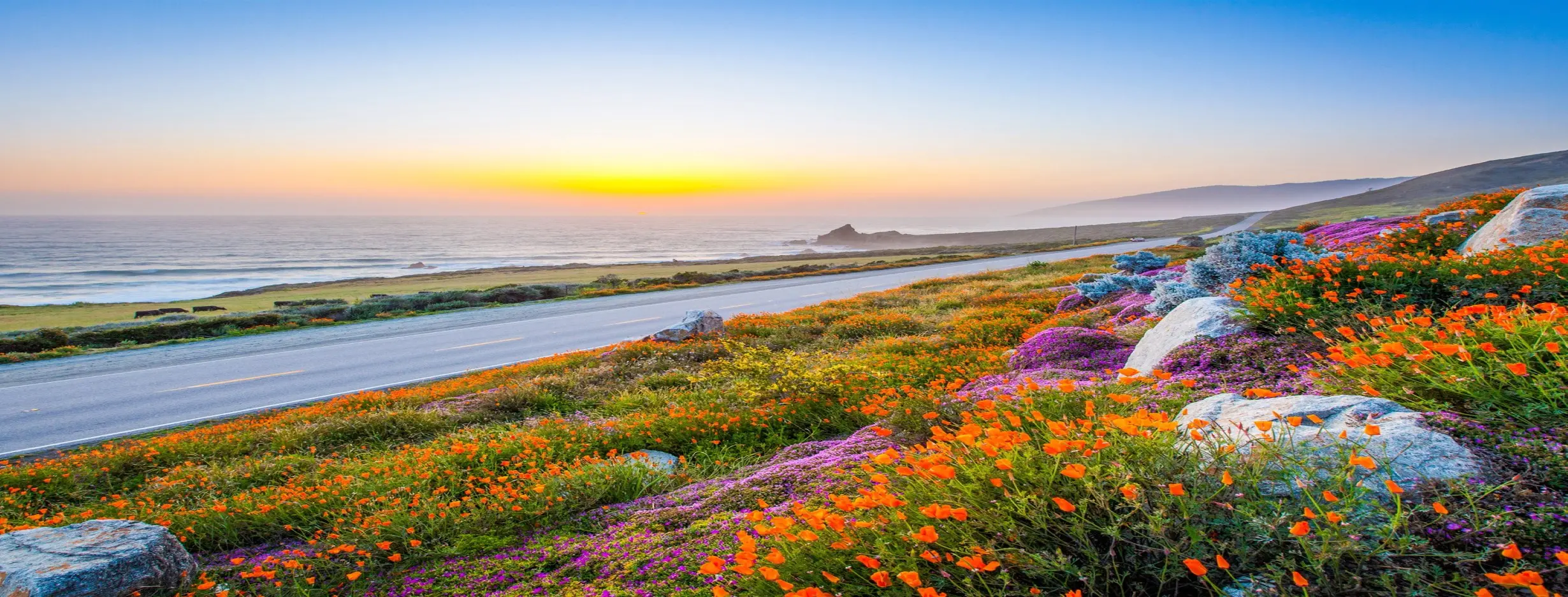 Image for Coastal Charm